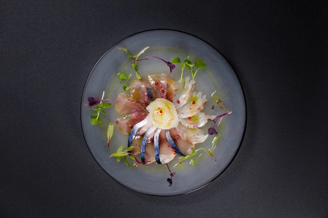 函館直送の鮮魚のカルパッチョ盛り合わせ