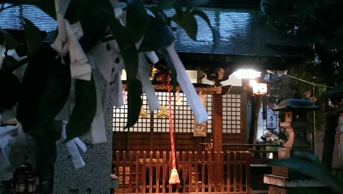 葉越しに見える夜の社殿